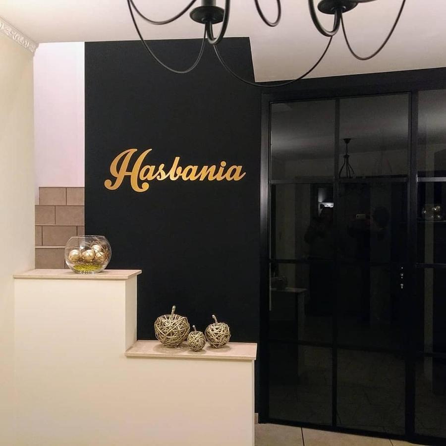 Hasbania Vakantiewoning Gingelom エクステリア 写真