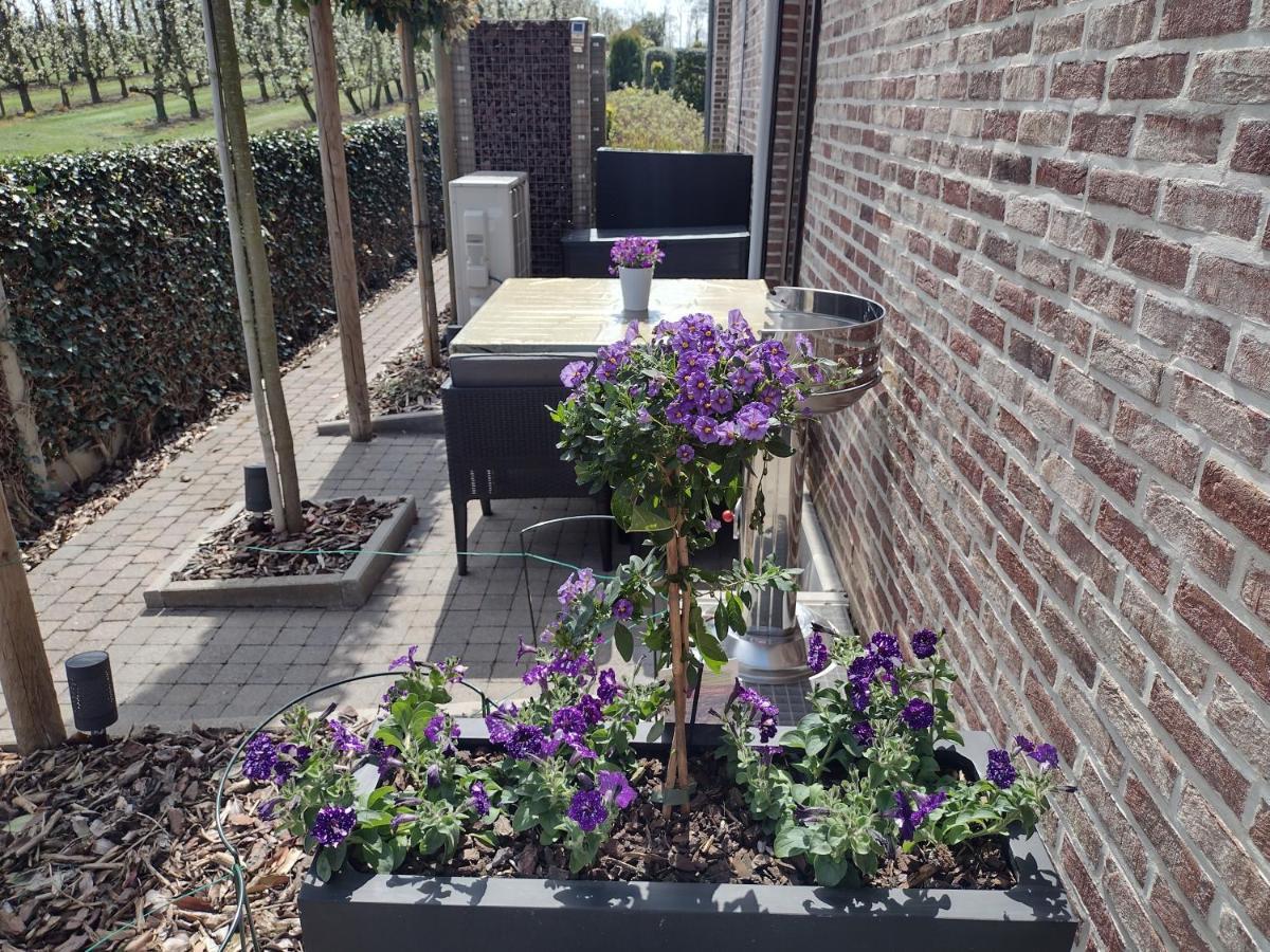 Hasbania Vakantiewoning Gingelom エクステリア 写真